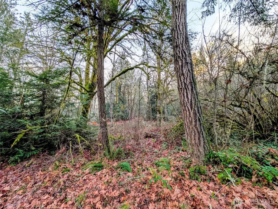 4010 Whiteman Road Sw, Lakebay, WA 98349 - Image #3