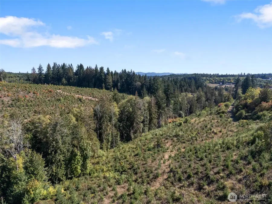 0 Macomber Road W, Chehalis, WA 98532 - Image #3