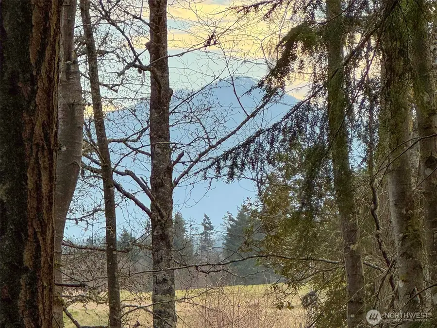 805 Lemmon Road, Port Angeles, WA 98362 - #2