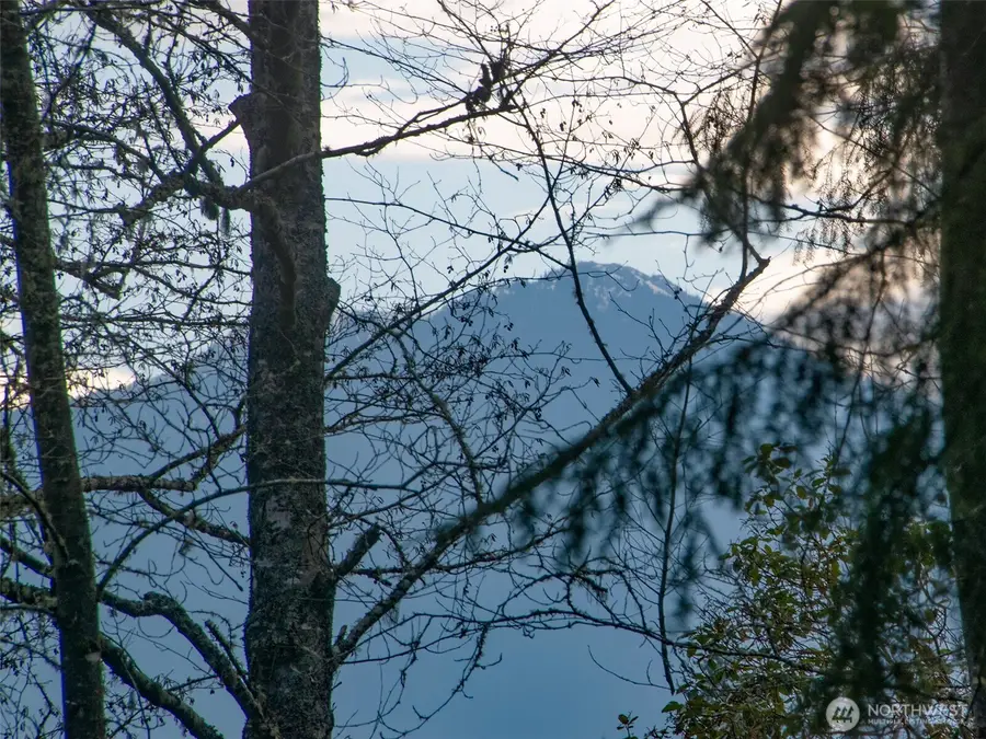 805 Lemmon Road, Port Angeles, WA 98362 - #3