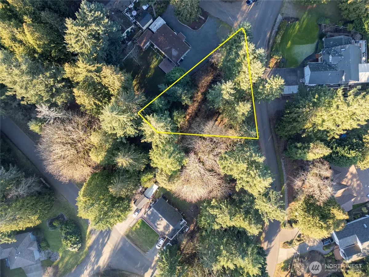 10916 Seaview Drive, Anderson Island, WA 98303 - #1