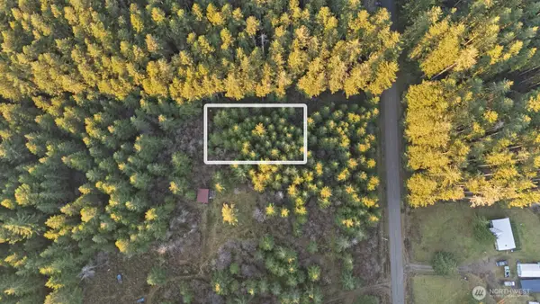 0 W Lost Lake Road, Shelton, WA 98584