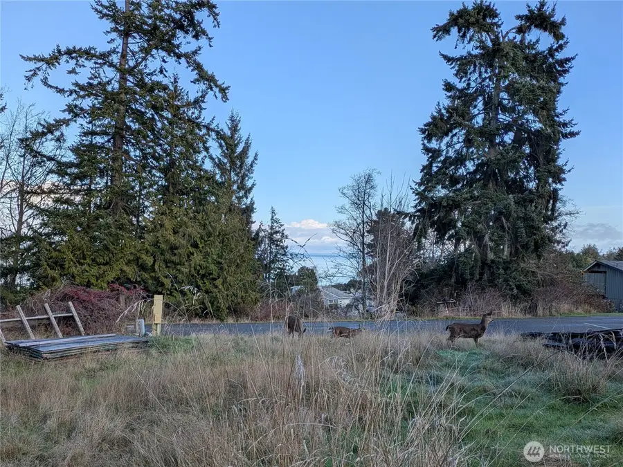 173 Island Vista Way, Port Angeles, WA 98362 - #3