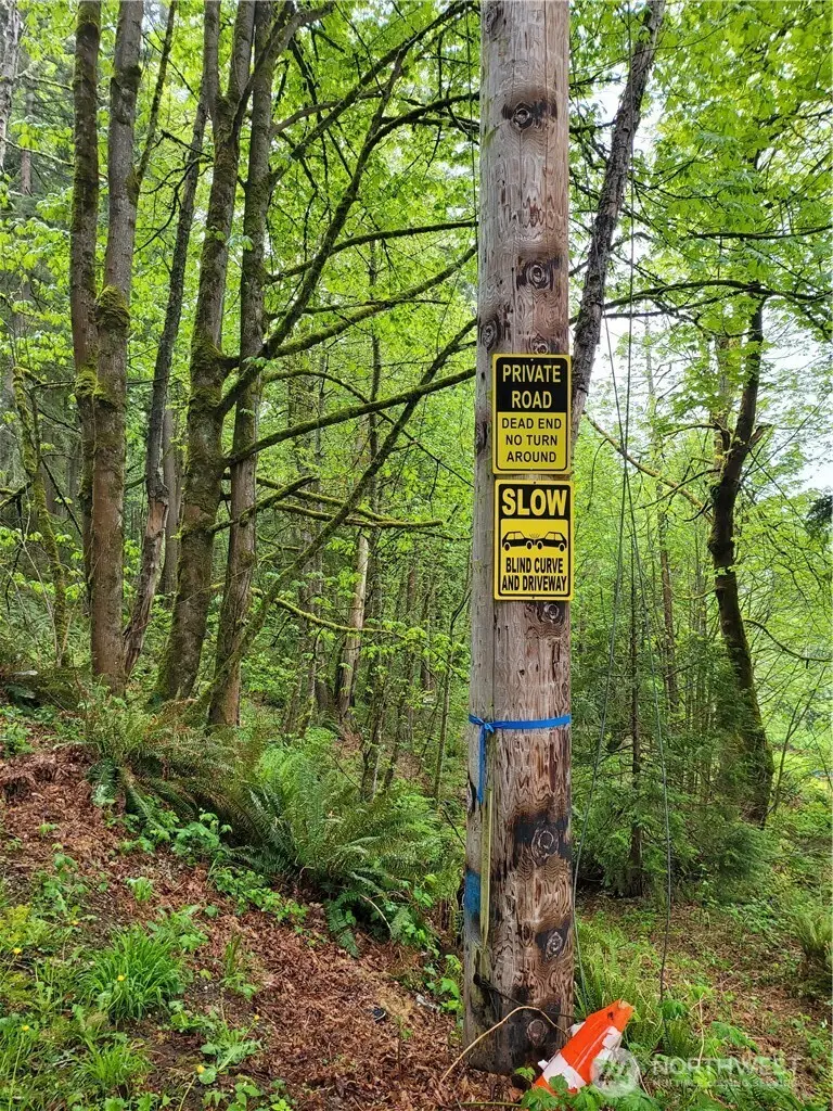 1217 218th Avenue Ne, Sammamish, WA 98074 - Image #3