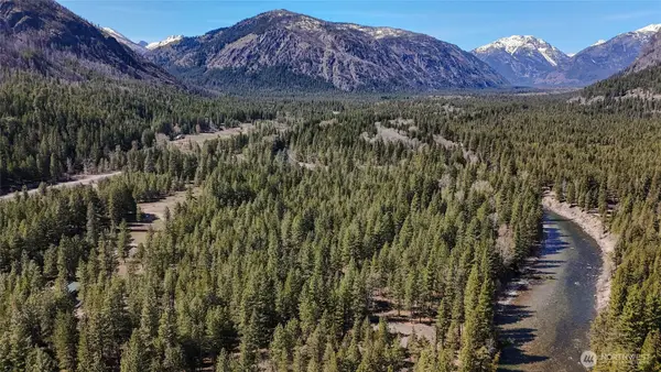 38 Mazama Pines Lane #14, .5-13, .5-39, Mazama, WA 98833