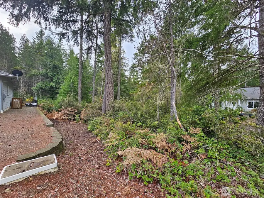 231 E Blackberry Lane, Union, WA 98592 - Image #3