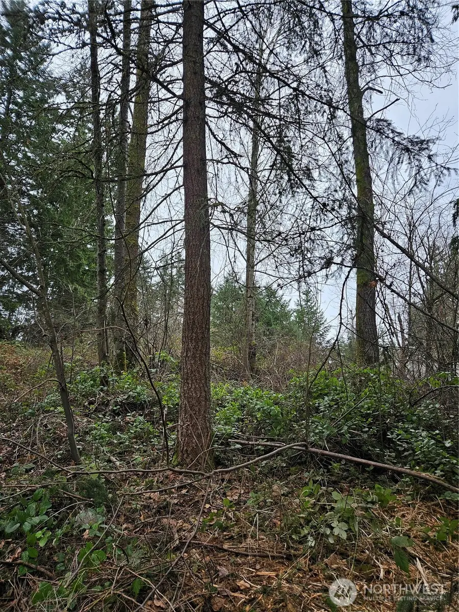 19100 106th Street Ct E, Bonney Lake, WA 98391 - Image #2