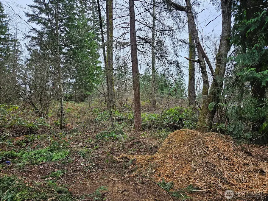 19100 106th Street Ct E, Bonney Lake, WA 98391 - Image #3