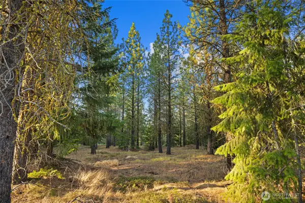 131 Gold Leaf Lane #3-26-20, Cle Elum, WA 98922