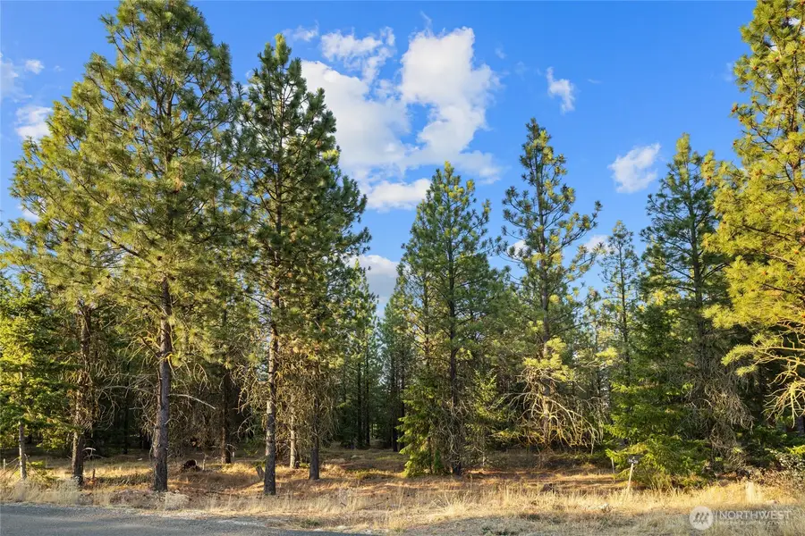 131 Gold Leaf Lane #3-26-20, Cle Elum, WA 98922 - Image #2