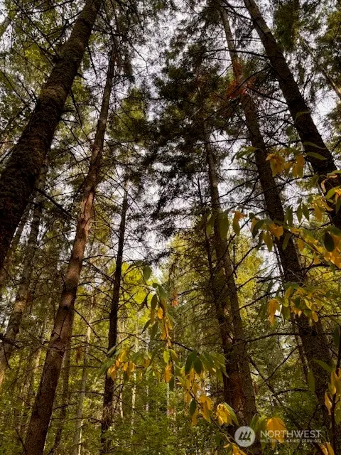 0 Chuckawa Lane Sw, Yelm, WA 98597 - Image #1