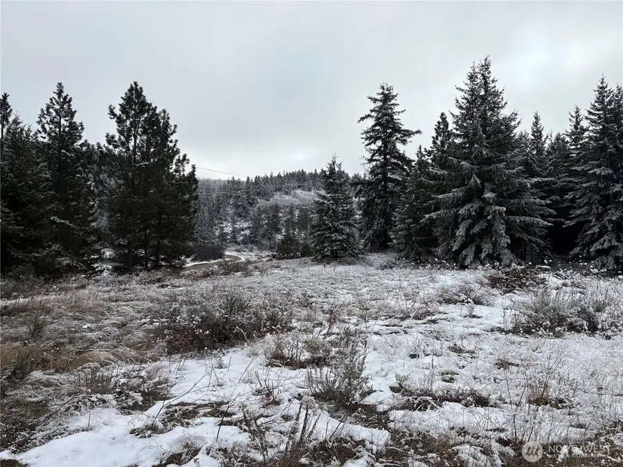 0 Redfield Rd, Waterville, WA 98858 - Image #2