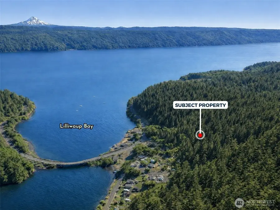 58 Stickney Street N, Lilliwaup, WA 98555 - #2