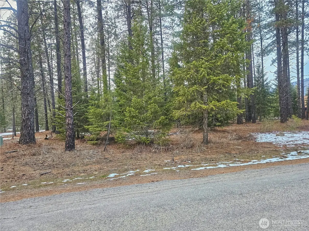 270 Eagle Dr, Chewelah, WA 99109 - Image #1