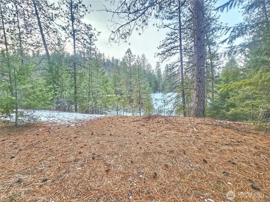 270 Eagle Dr, Chewelah, WA 99109 - Image #2