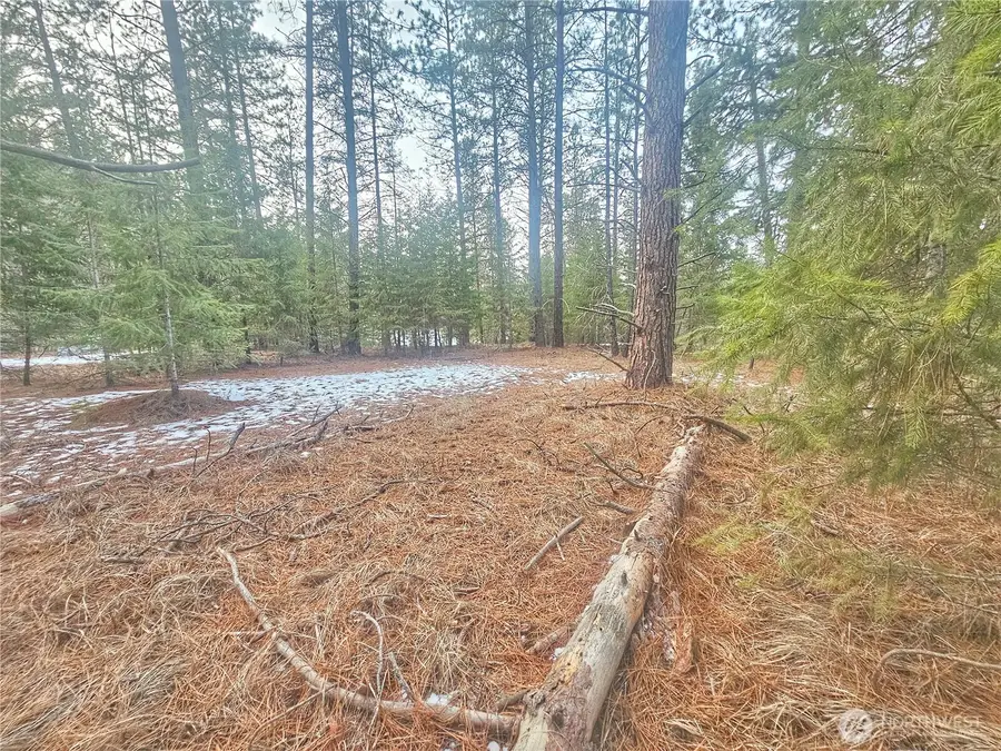 270 Eagle Dr, Chewelah, WA 99109 - Image #3