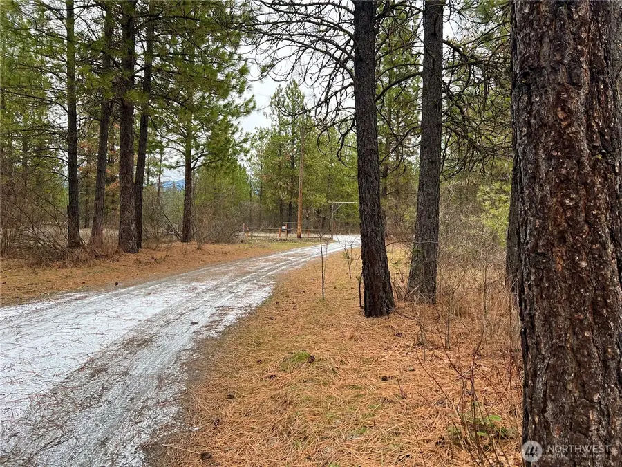 4396 Northport Flat Creek Road, Northport, WA 99157 - Image #3