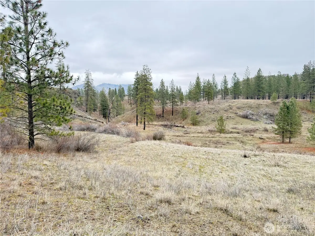 0 Cayuse Cove Road N, Davenport, WA 99122 - #1