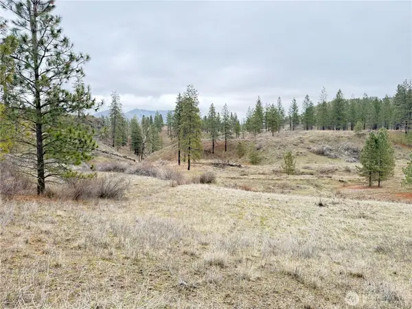 0 Cayuse Cove Road N, Davenport, WA 99122