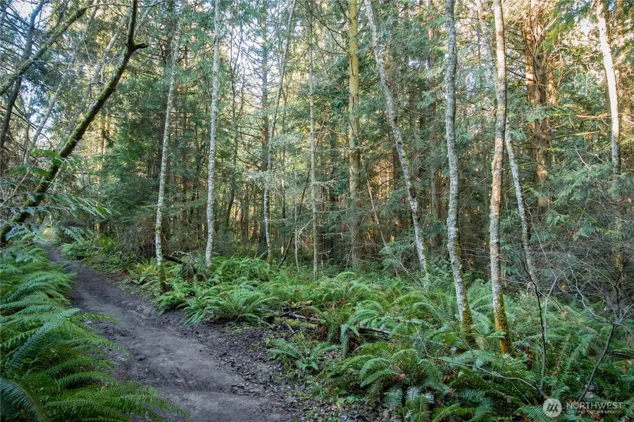 9999 Umatilla Avenue #Lots 1, 2, 3, 4, 7, 8, Port Townsend, WA 98368 - Image #3