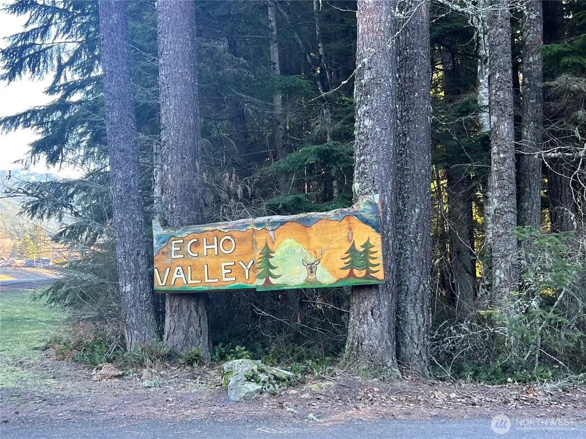 3401 556th Court E, Ashford, WA 98304 - #1