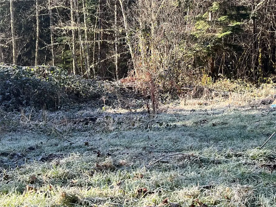 3401 556th Court E, Ashford, WA 98304 - #3