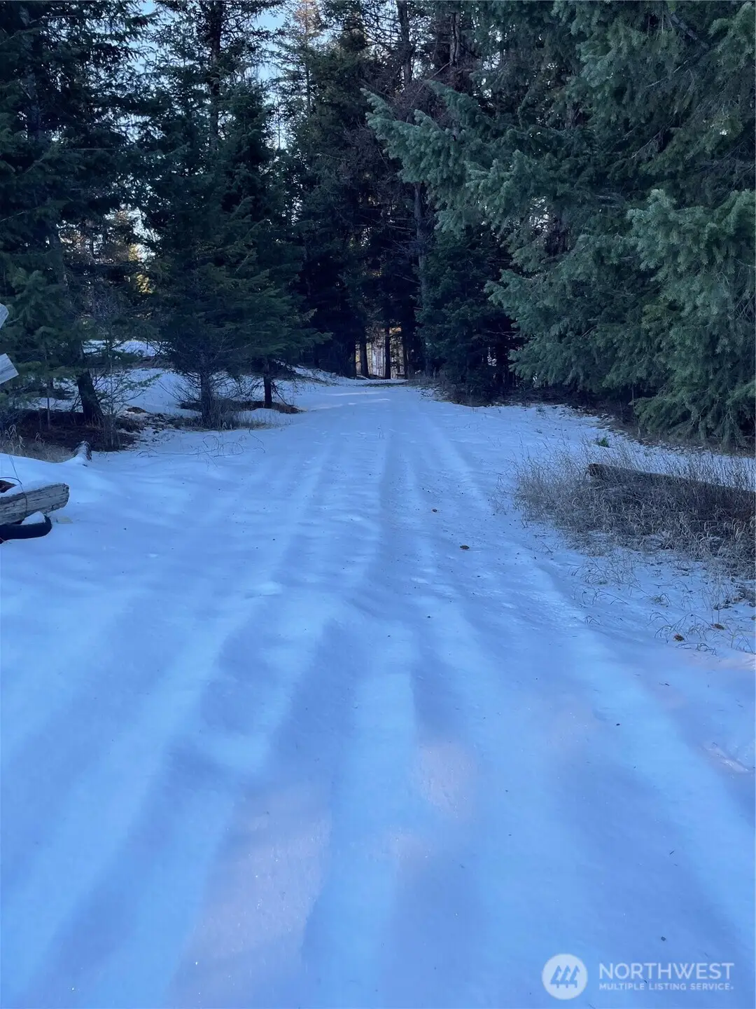 161 Bunch Road #1, Wauconda, WA 98859 - #1