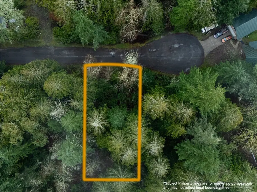 11416 86th Street Ct, Anderson Island, WA 98303 - #2