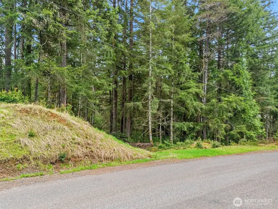 71 E Sleaford Road, Shelton, WA 98584 - Image #3