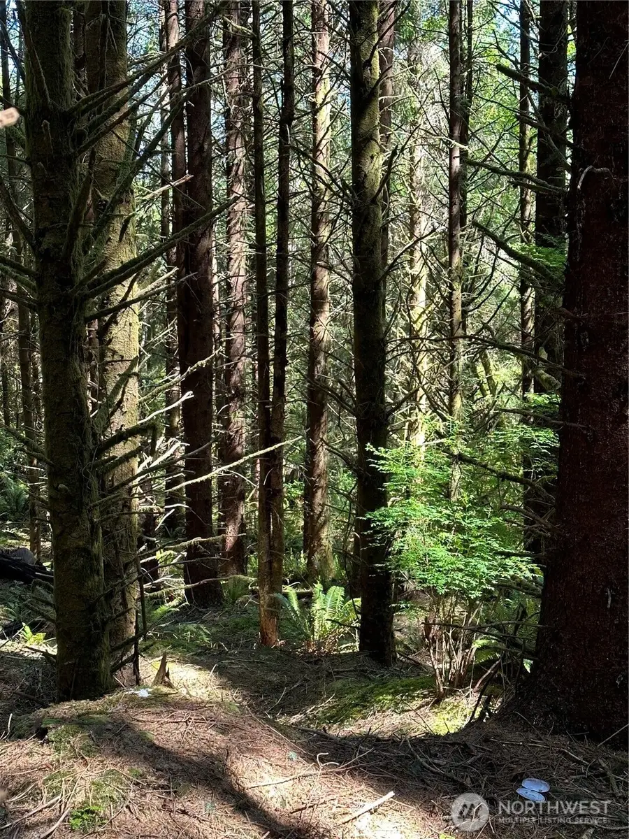 290 Luttrell Lane #4, Chinook, WA 98614 - #3