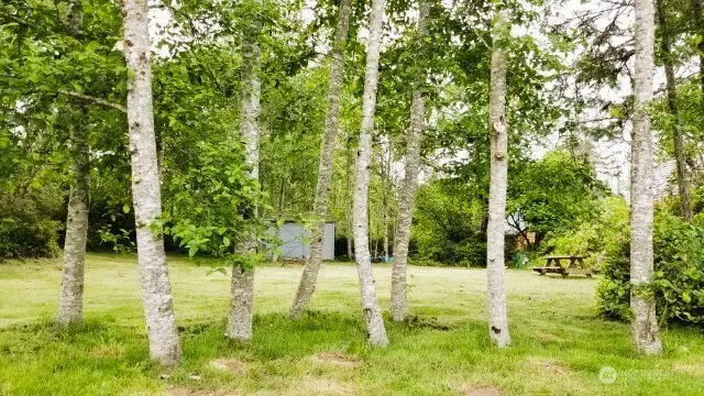 30714 N Place #6, Ocean Park, WA 98640 - Image #3