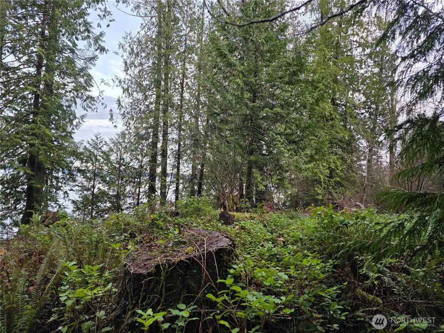 691 E Harstine Heights Lane #TR M-2 Survey 1/241, Shelton, WA 98584 - Image #3