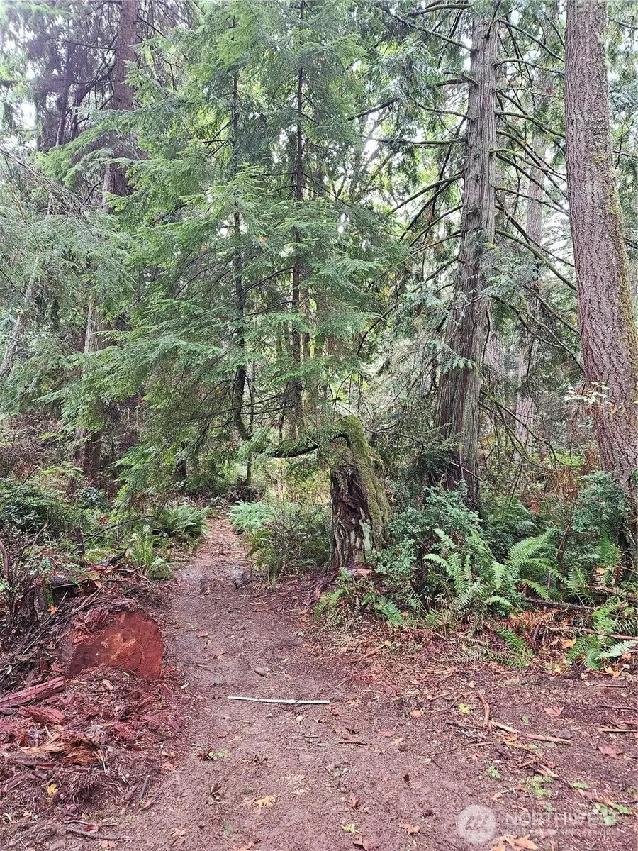 225 Dietz Drive #3, Quilcene, WA 98376 - #2