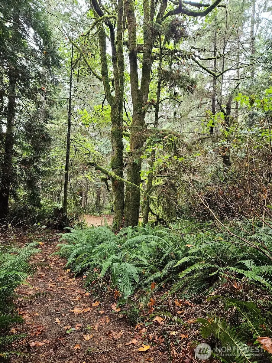 225 Dietz Drive #3, Quilcene, WA 98376 - #3