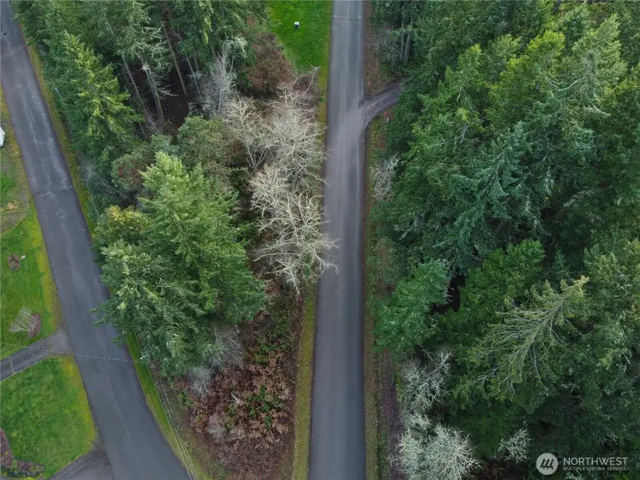 0 Lylus Lane #Lots 27 and the North 38 feet of Lot 28, Port Hadlock, WA 98339 - Image #2