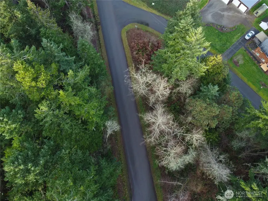 0 Lylus Lane #Lots 27 and the North 38 feet of Lot 28, Port Hadlock, WA 98339 - Image #3