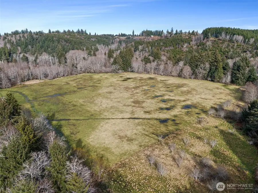 0 Rue Creek Road, Raymond, WA 98577 - Image #2