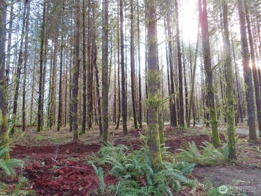 2431 N River Road, Cosmopolis, WA 98537 - #3