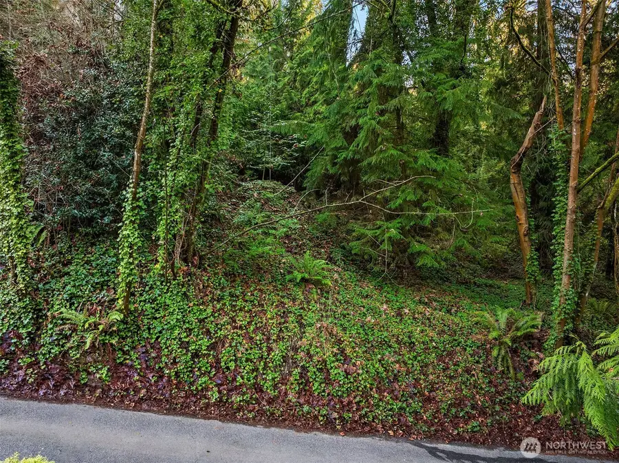 43 Fernbrook Drive #2, Mercer Island, WA 98040 - Image #3