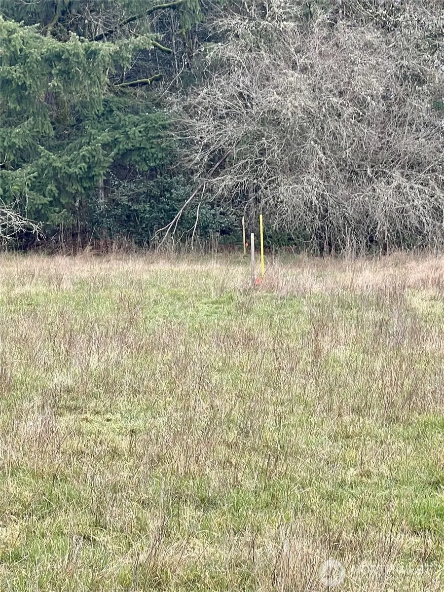 1 NE Jabez Street #Lot 1, Winlock, WA 98596 - #2