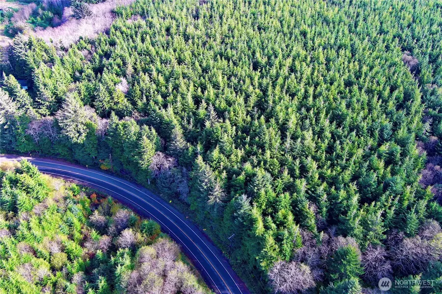 0 Copalis Beach Road, Copalis Beach, WA 98535 - #3