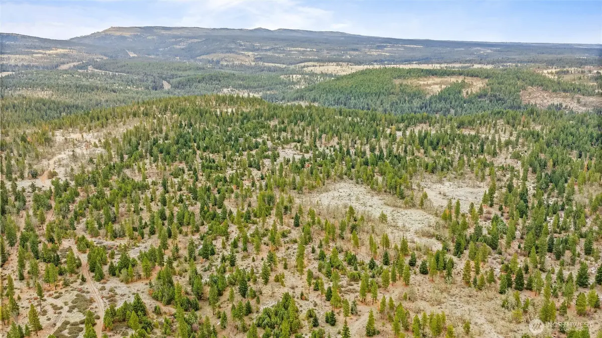 0 Satus Pass- Hwy 97, Goldendale, WA 98620 - #1