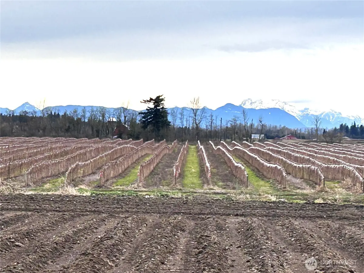 17 Hampton Road #2, Everson, WA 98247 - #1