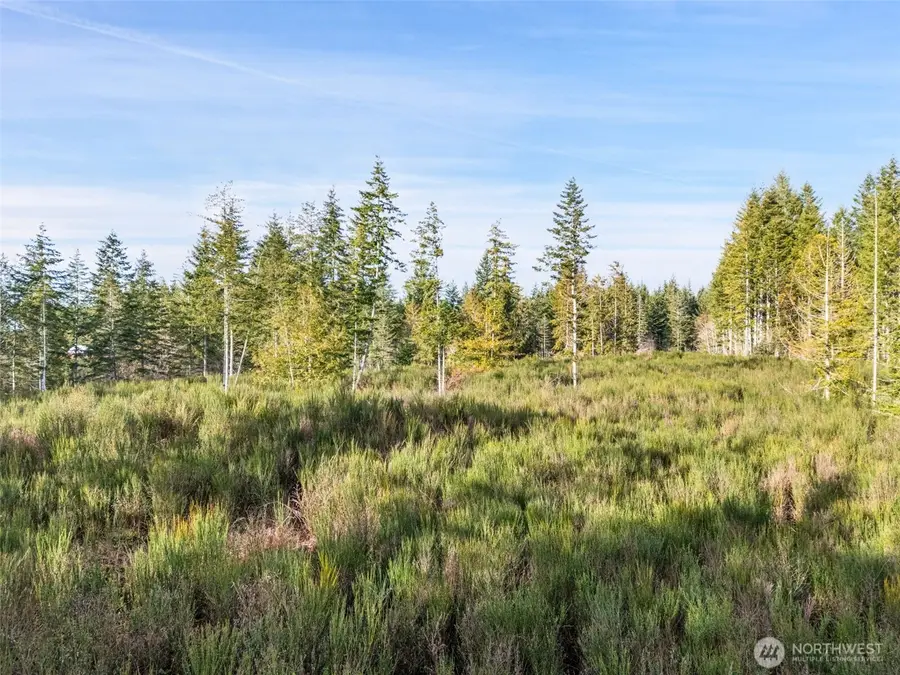 0 E Pickering Road #Lot 5 of LL22-02, Shelton, WA 98584 - #2