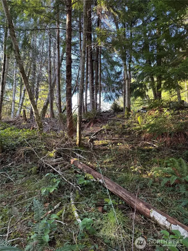 0 NE Lake Christine Road #3, Tahuya, WA 98588