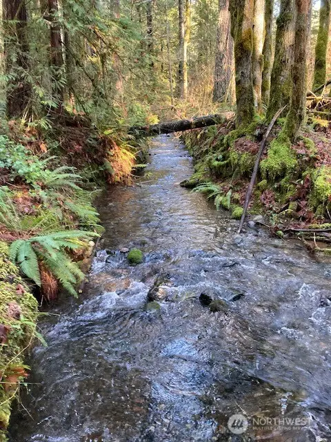 320 N Mt Jupiter Drive #113, Hoodsport, WA 98548 - #3