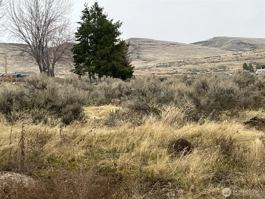 0 Cabin Lane, Selah, WA 98942 - #3