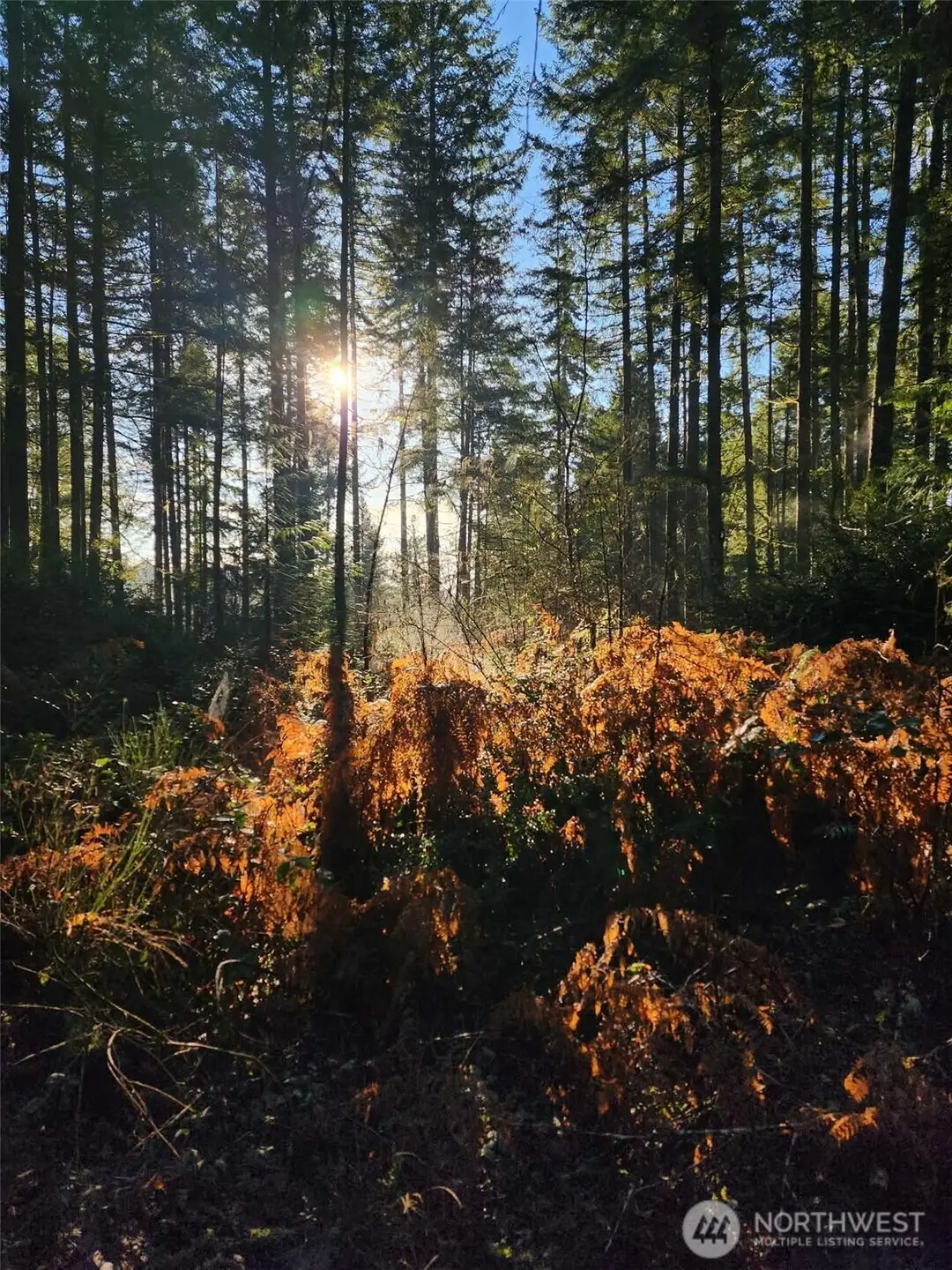 91 E Tepee Lane, Belfair, WA 98528 - #1