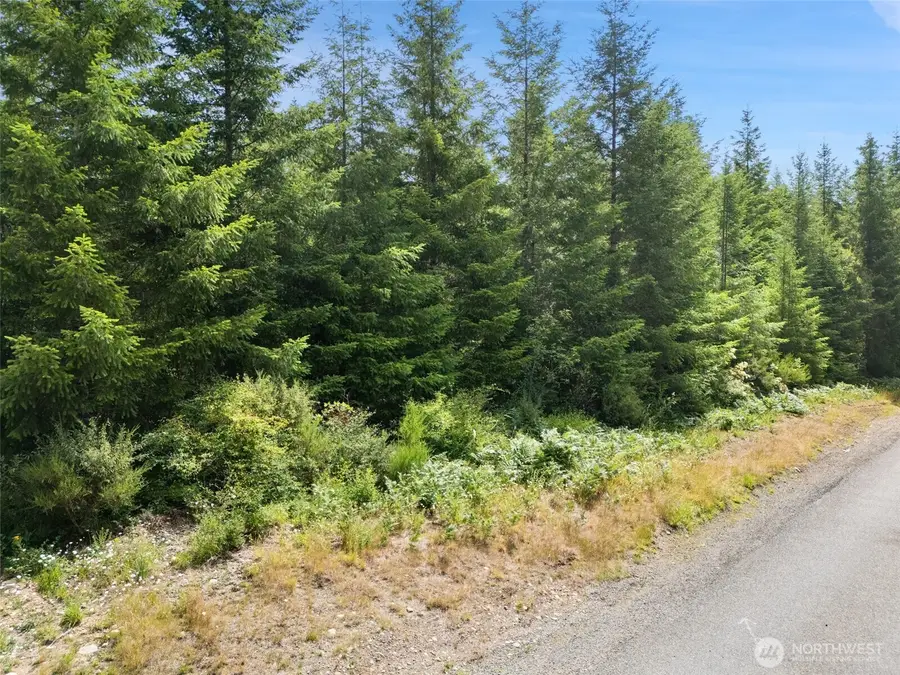 0 W Satsop Road E #Lot A of Survey, Elma, WA 98541 - #2