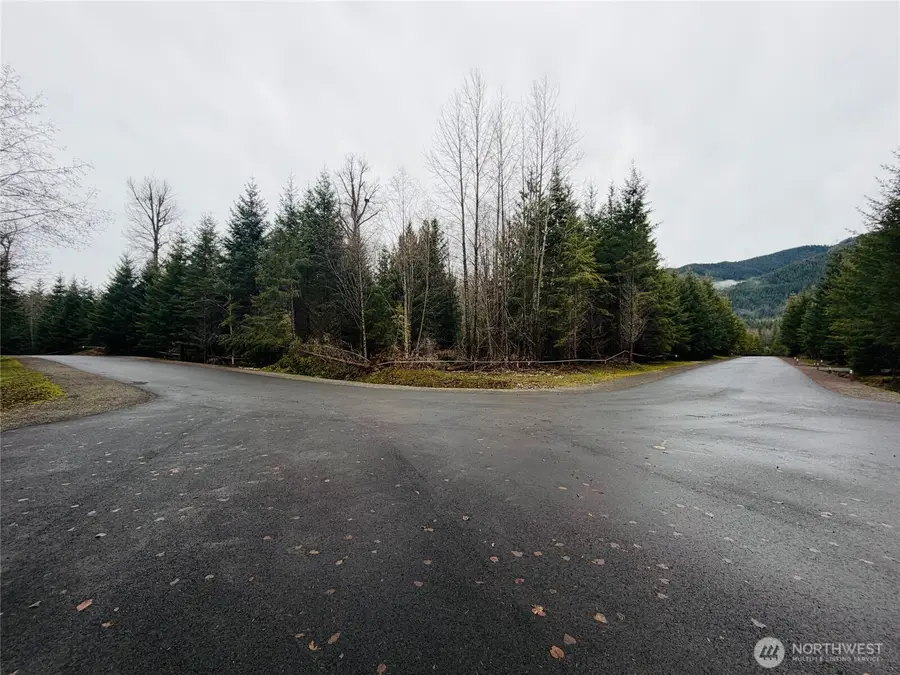 11912 Elk Trails Drive E #5, Greenwater, WA 98022 - #2